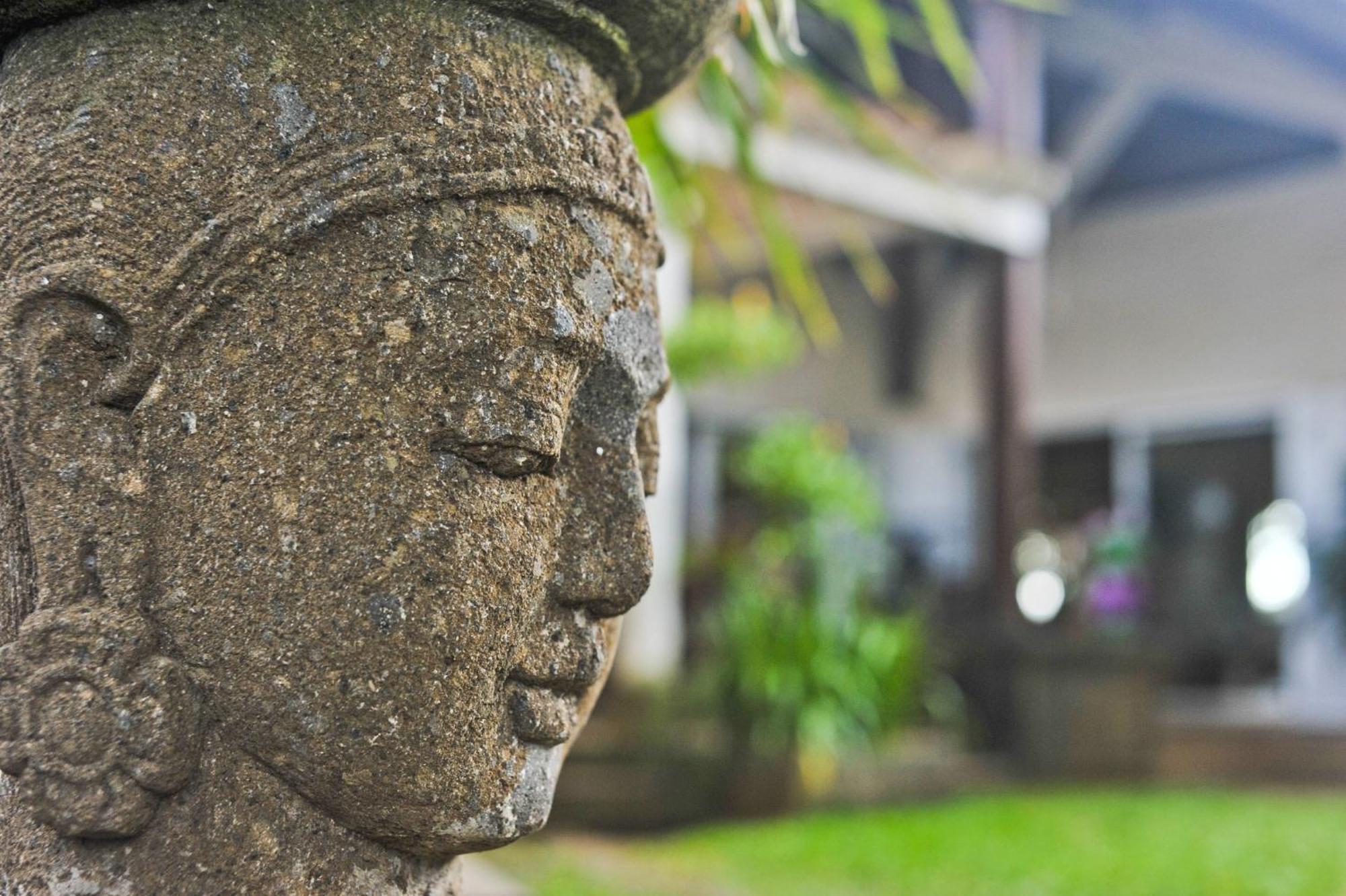 贝尔马尔毛里求斯树屋旅馆别墅 外观 照片