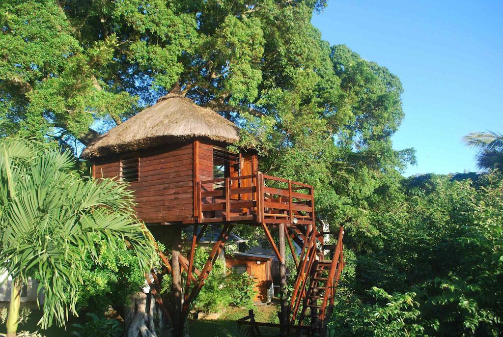 贝尔马尔毛里求斯树屋旅馆别墅 客房 照片